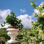 Bed & Breakfast La Luna E L'ulivo Antica