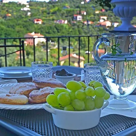 La Luna E L'ulivo Antica B&B 아르콜라