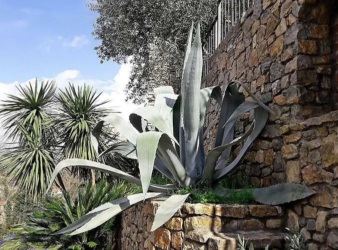 La Luna E L'ulivo Antica * أركولا