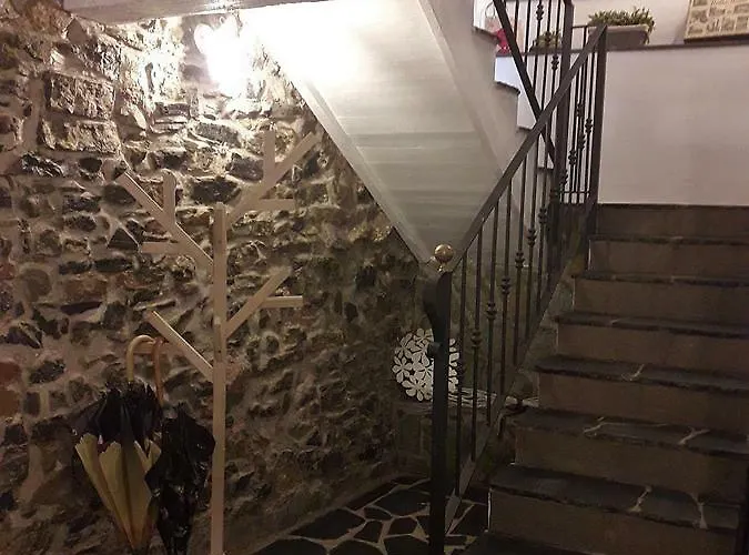 La Luna E L'ulivo Antica *