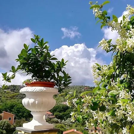 Bed & Breakfast La Luna E L'ulivo Antica