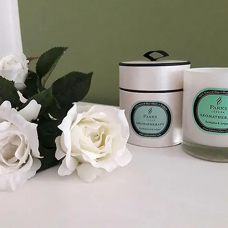 La Luna E L'ulivo Antica Arcola