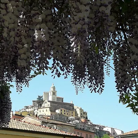La Luna E L'ulivo Antica Arcola