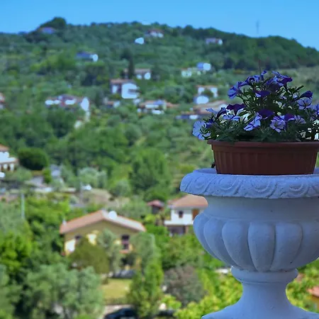 La Luna E L'ulivo Antica Arcola