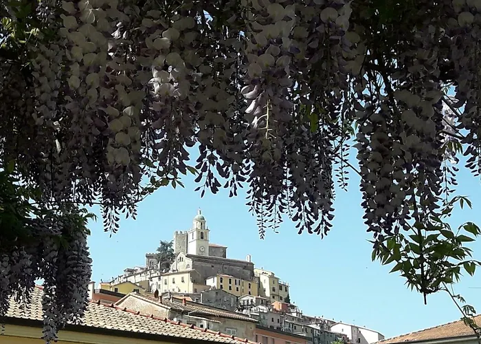 La Luna E L'ulivo Antica アルコラ